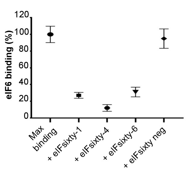 Relative eIF6–60S binding upon eIFsixty-i compounds addition.jpg